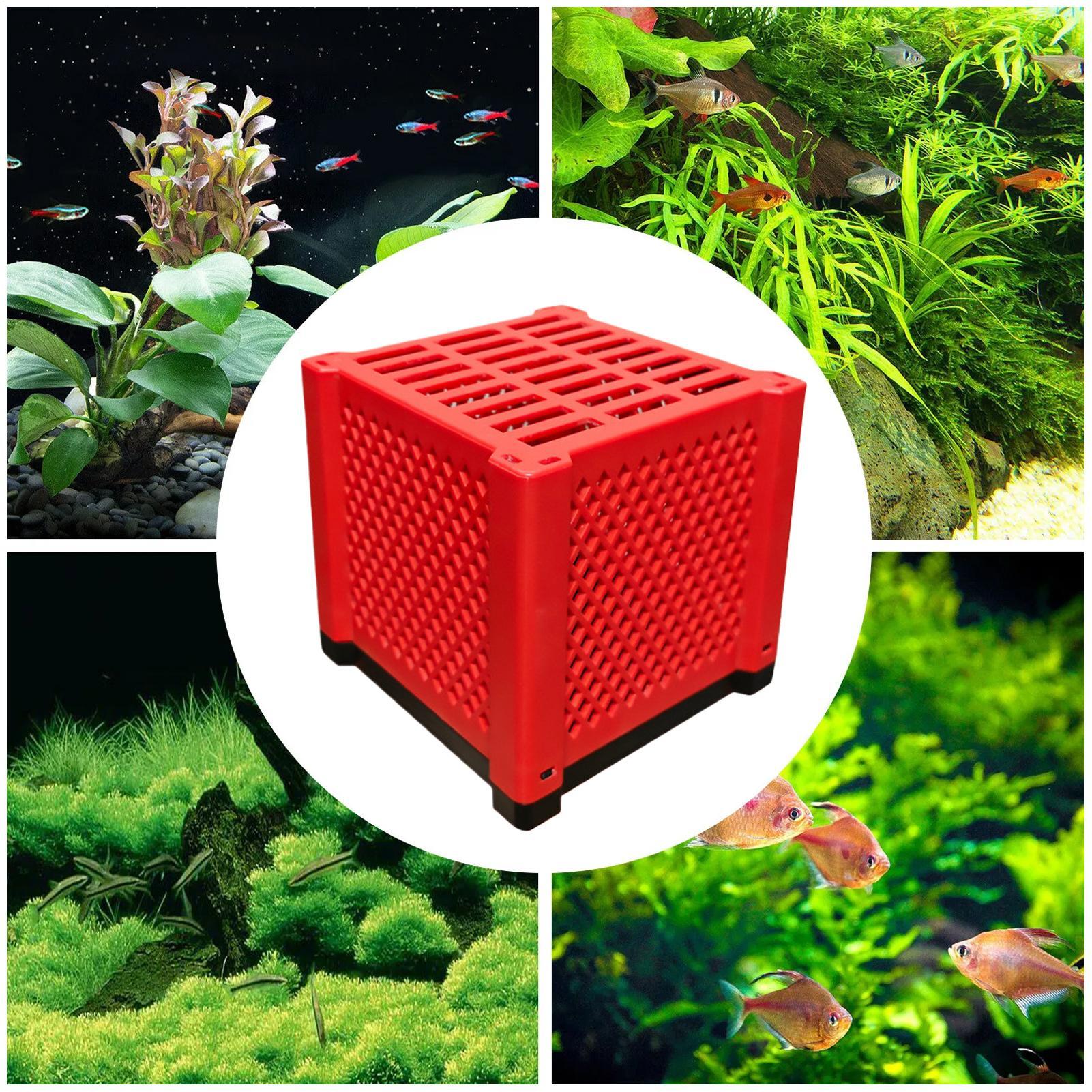 Boîte de rangement en PVC pour - Box Fish In Aquarium avis et prix
