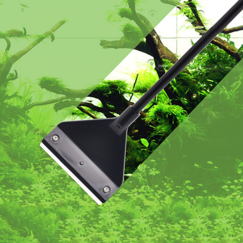 Dissolvant d'algues d'aquarium - Algae Scraper Blade avis et prix