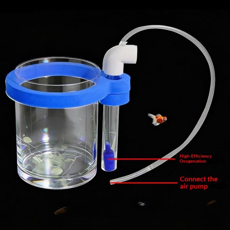 Boîte d'élevage de poissons en - Box Fish In Aquarium avis et prix