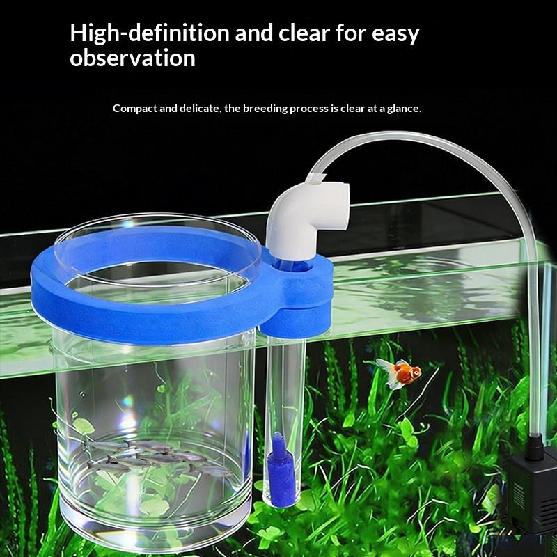 Boîte d'élevage de poissons en - Box Fish In Aquarium avis et prix