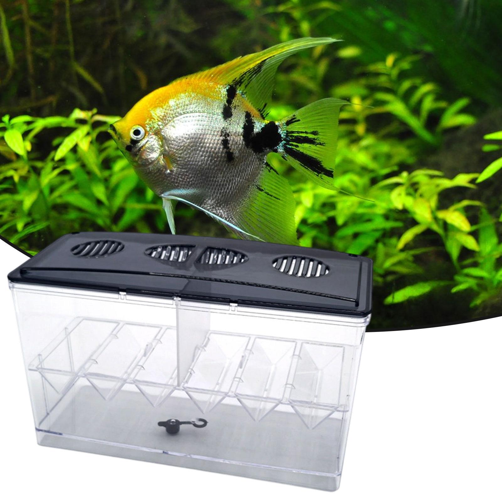 Boîte d'isolation flottante po - Box Fish In Aquarium avis et prix