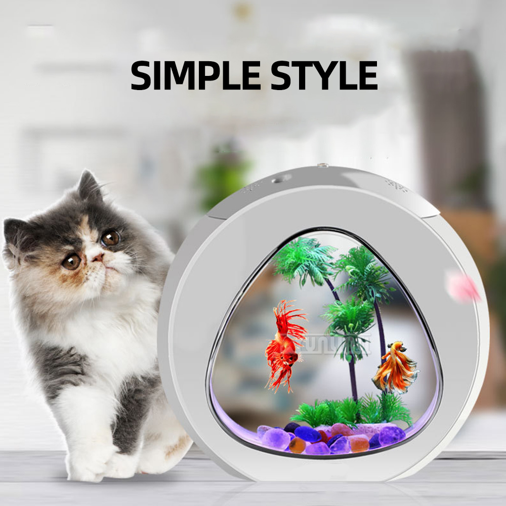 Aquarium de bureau créatif 4L/ - Aquarium Goldfish avis et prix
