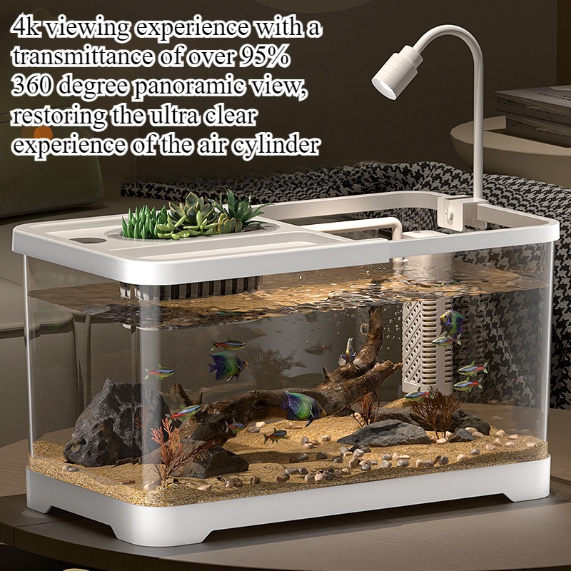 Aquarium domestique pour salon - Aquarium Goldfish avis et prix