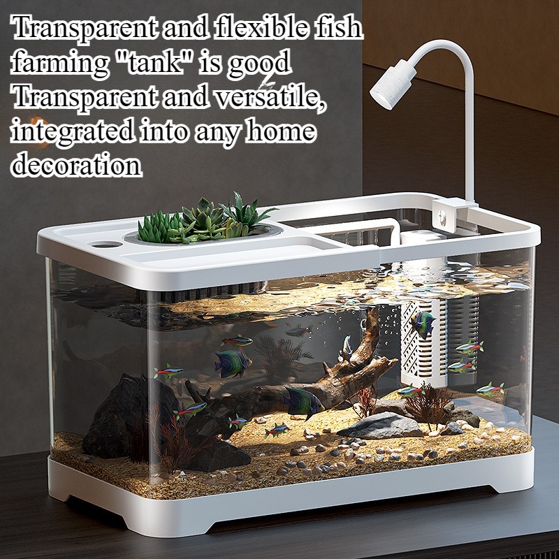 Aquarium domestique pour salon - Aquarium Goldfish avis et prix