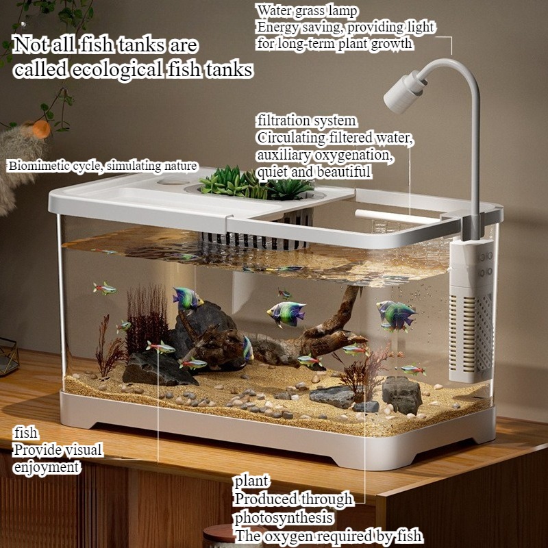 Aquarium domestique pour salon - Aquarium Goldfish avis et prix