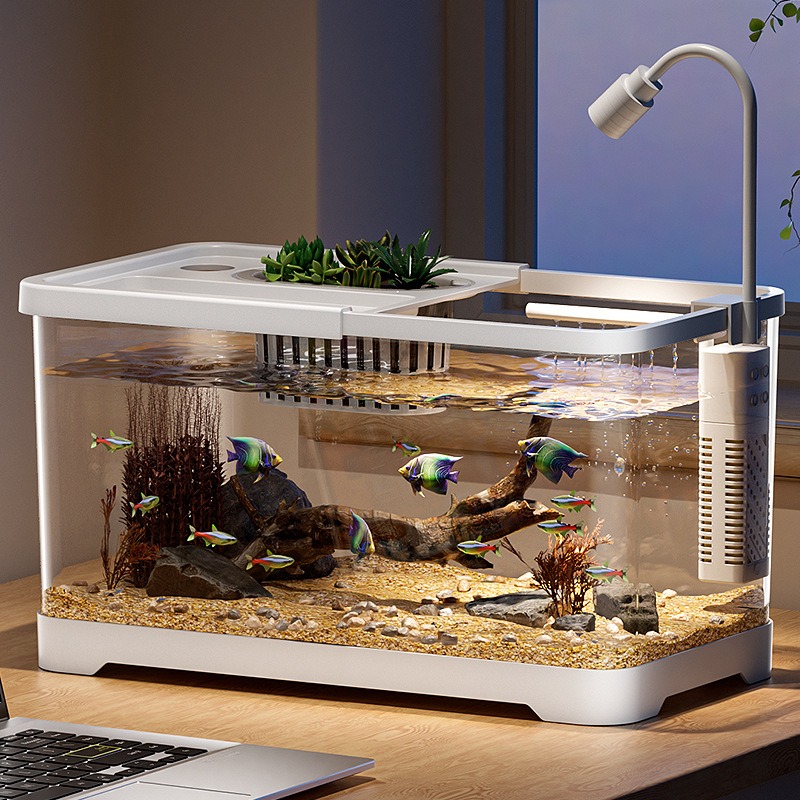 Aquarium domestique pour salon - Aquarium Goldfish avis et prix