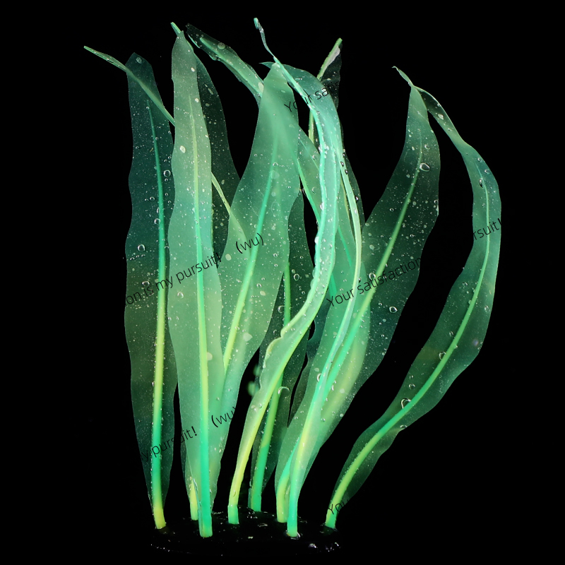 Décoration de plante de varech - Aquarium Fish World avis et prix