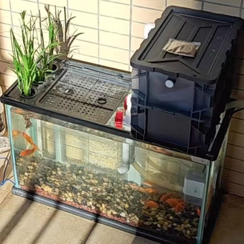 Filtres pour Aquarium, boîte d - Box Fish In Aquarium avis et prix