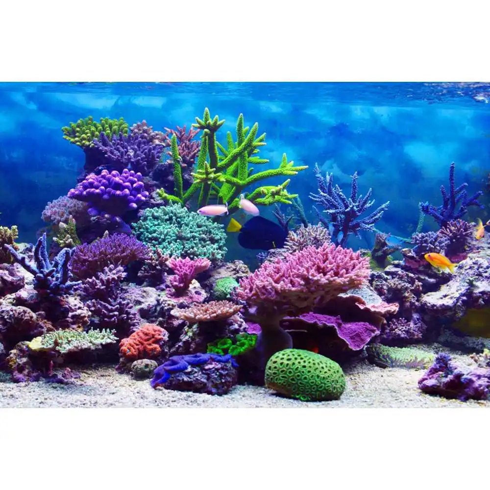 Monde sous-marin, fond marin,  - Aquarium Fish World avis et prix
