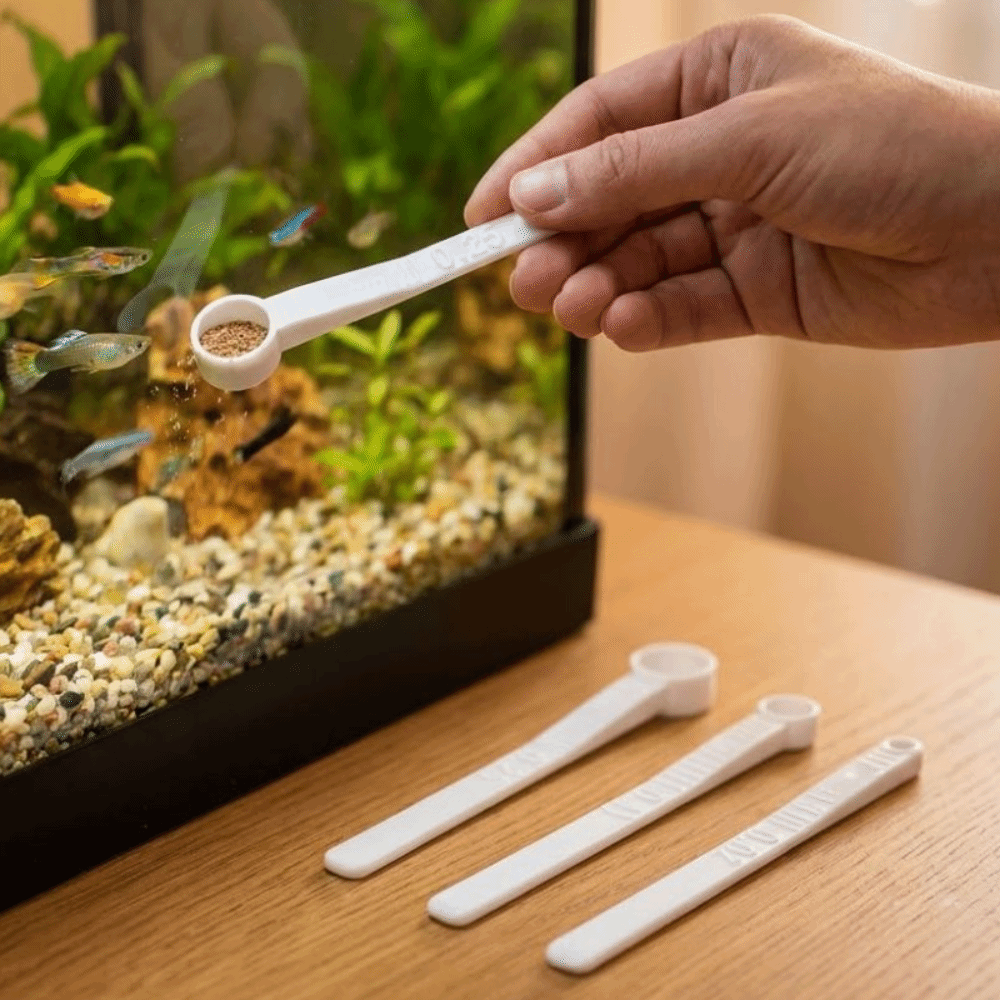 Cuillère doseuse de nourriture - Aquarium Fish Holiday Food avis et prix