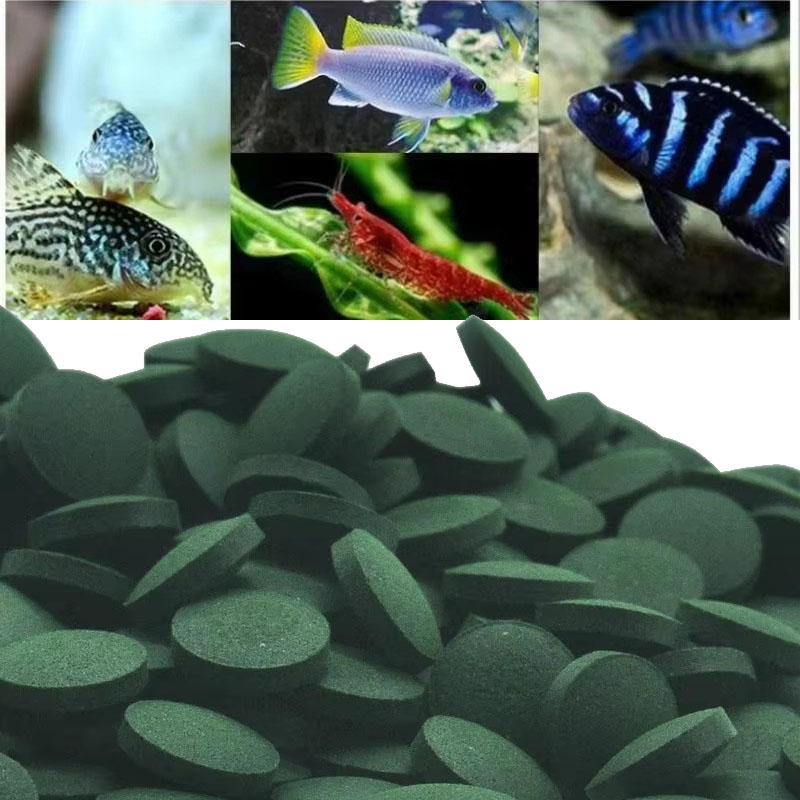 50/100/300/500 pièces comprimé - Aquarium Fish Holiday Food avis et prix