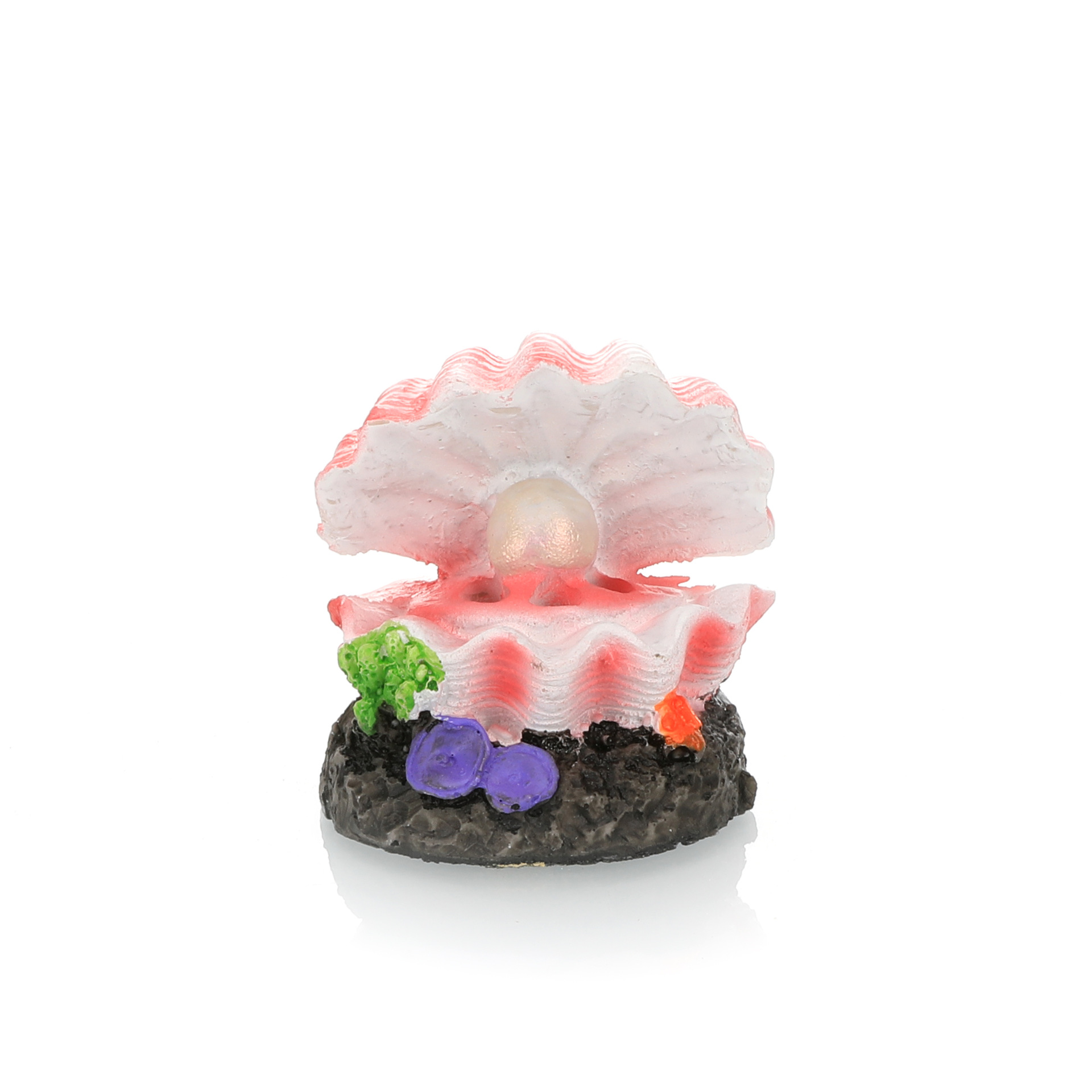 Simulation d'aménagement paysa - Aquarium Fish Cartoon avis et prix