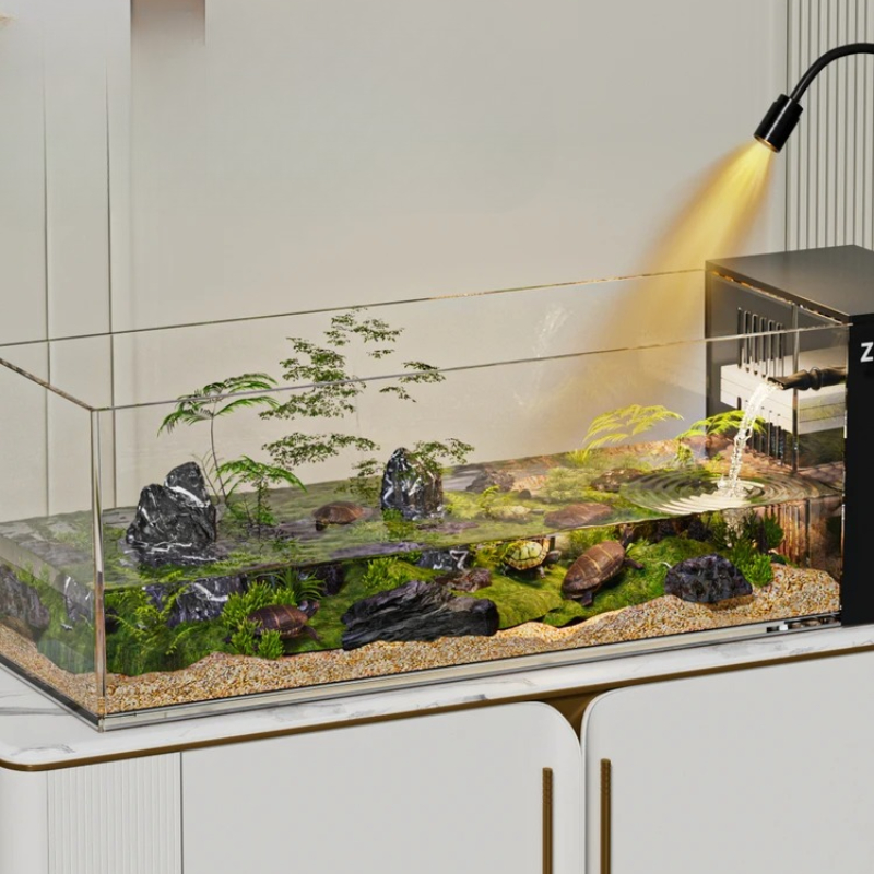 ‌ Réservoir d'aquarium tortue  - Aquarium Goldfish avis et prix