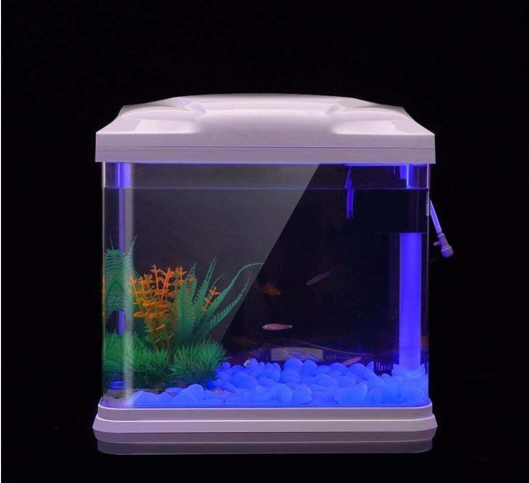Roches d'aquarium scintillante - Aquarium Fish Types avis et prix