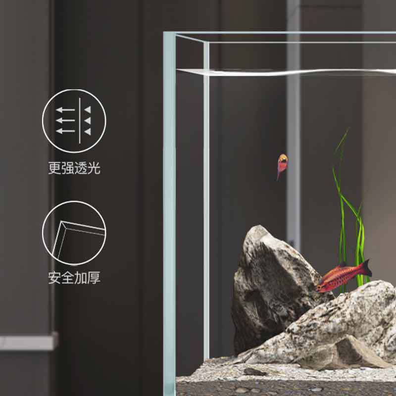 Aquarium Minjiang pour poisson - Live Fish Aquarium avis et prix