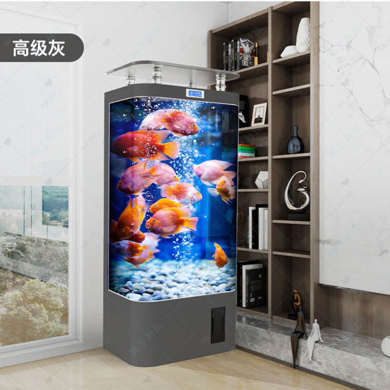 Réservoir de poissons rouges i - Aquarium Goldfish avis et prix