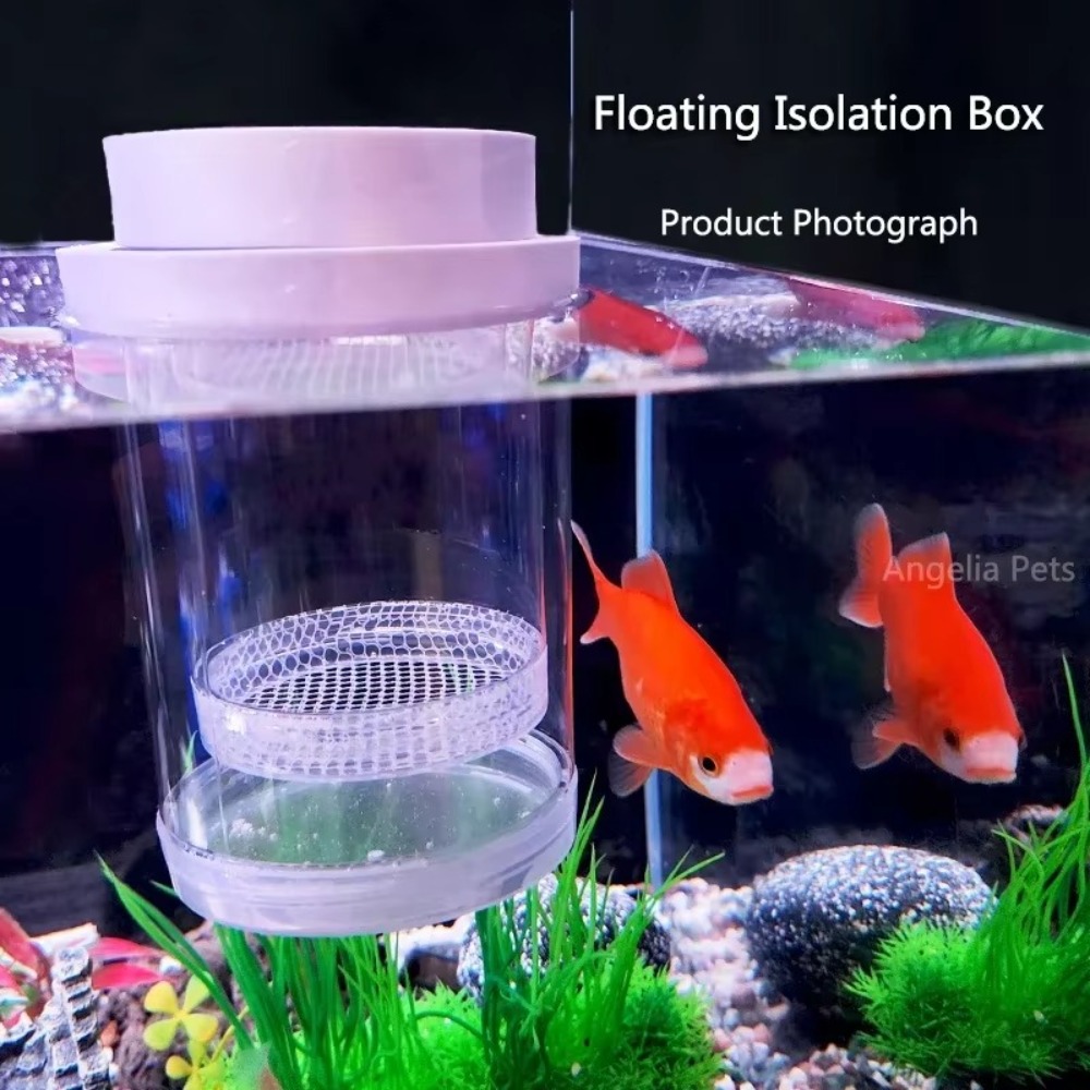 Boîte d'isolation flottante en - Box Fish In Aquarium avis et prix