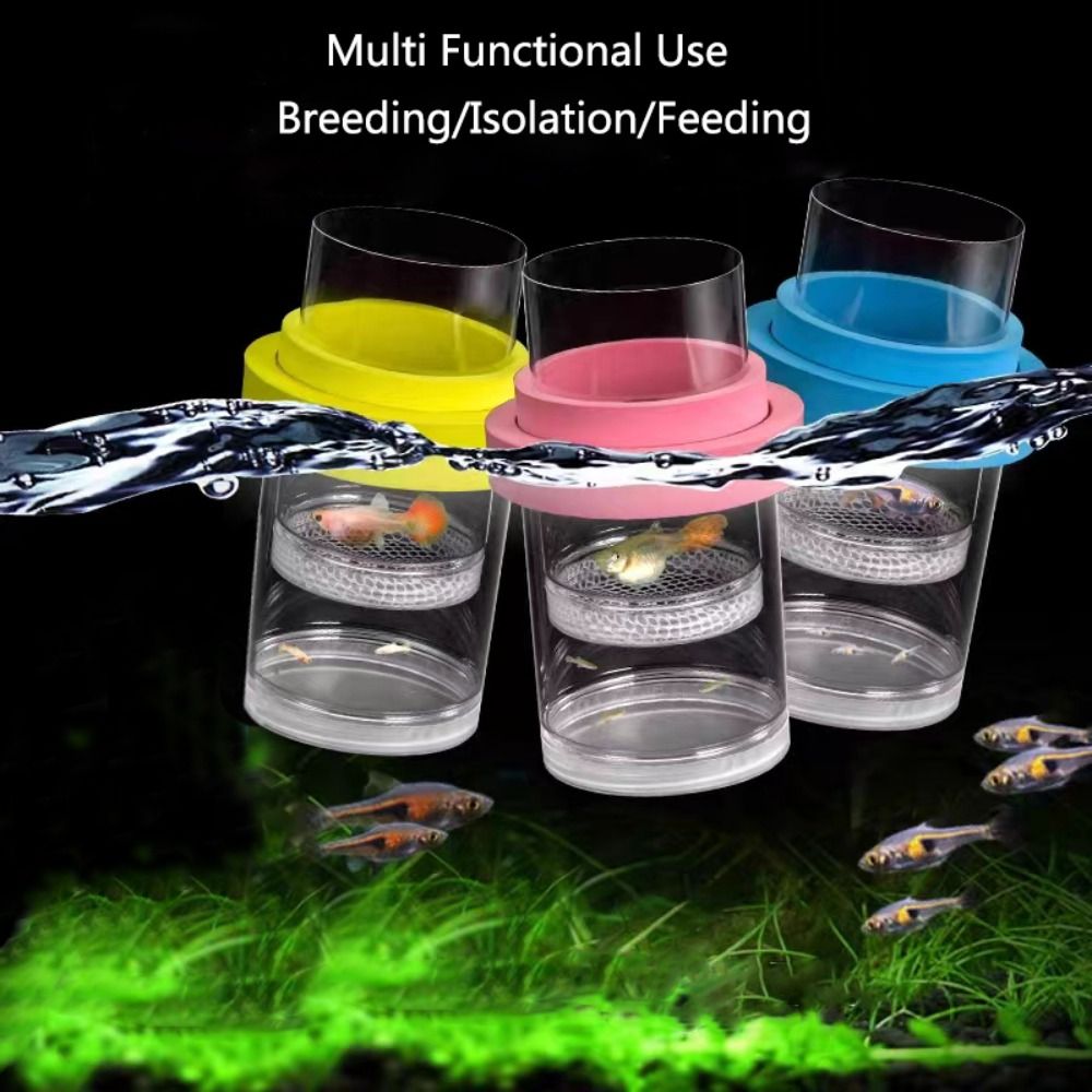 Boîte d'isolation flottante en - Box Fish In Aquarium avis et prix