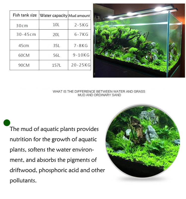 Sol de graines de plantes d'aq - Aquarium Fish Types avis et prix