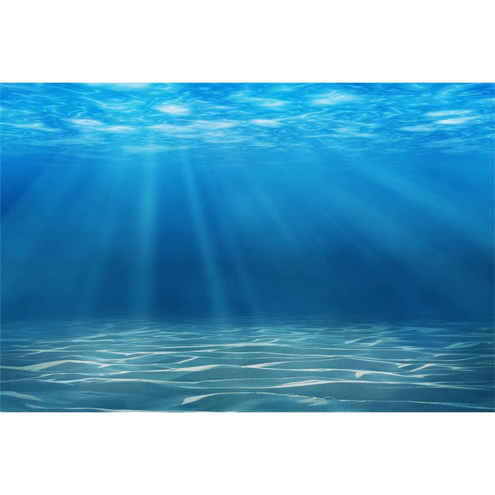 Monde sous-marin fond de mer p - Aquarium Fish World avis et prix