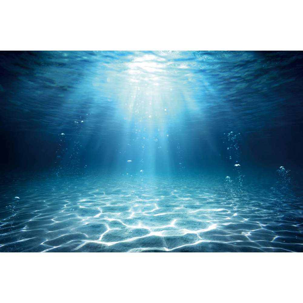 Monde sous-marin fond de mer p - Aquarium Fish World avis et prix