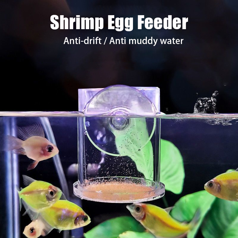 Anneau de tasse d'alimentation - Aquarium Fish Holiday Food avis et prix