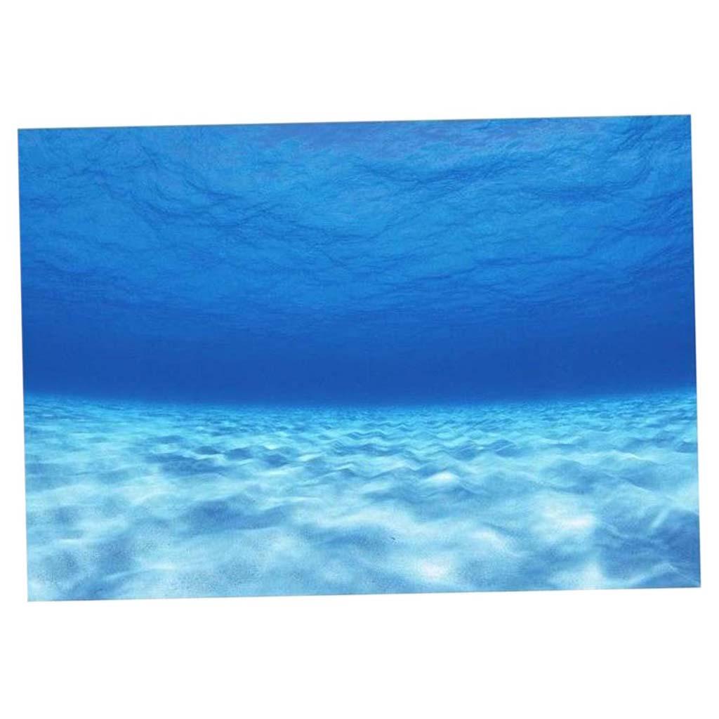Affiche de fond d'aquarium déc - Aquarium Fish World avis et prix