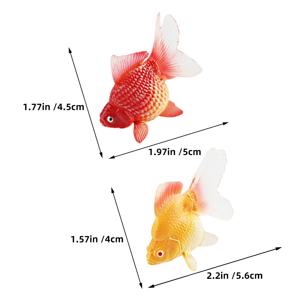 3 pièces de poissons rouges mi - Aquarium Goldfish avis et prix