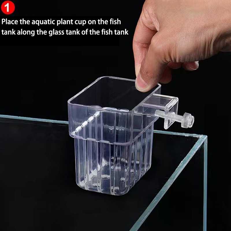 Tasse de plantation d'eau d'aq - Box Fish In Aquarium avis et prix