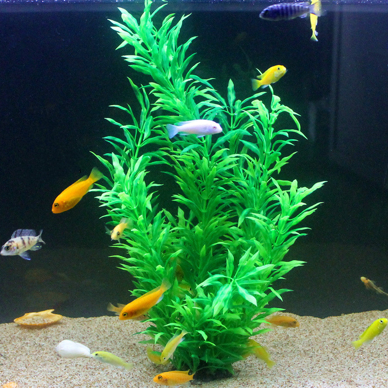 Plantes artificielles pour aqu - Aquarium Fish Types avis et prix