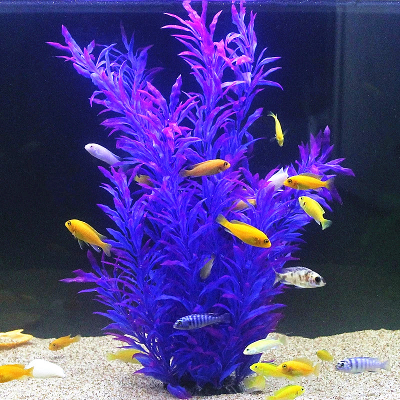 Plantes artificielles pour aqu - Aquarium Fish Types avis et prix