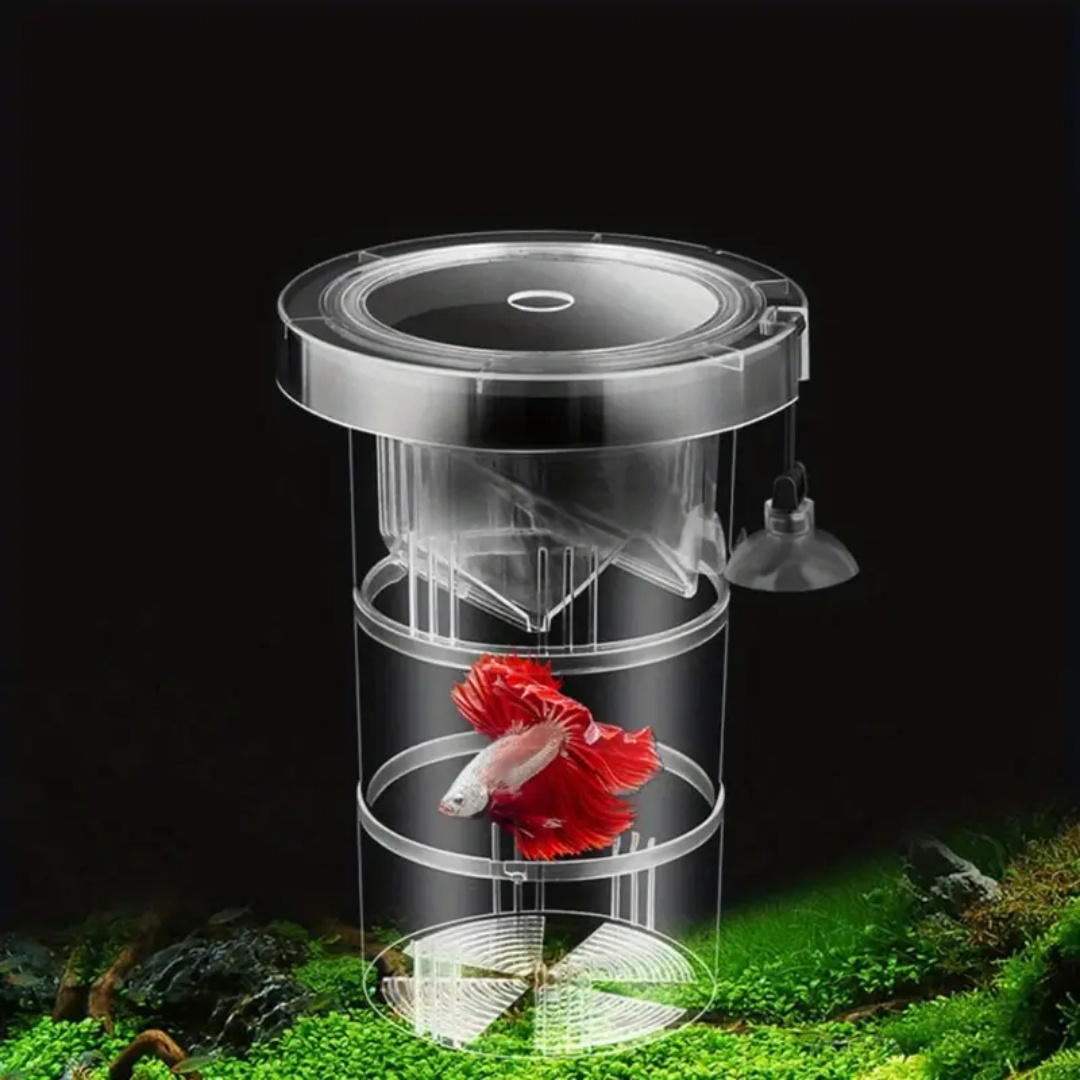 Boîte d'isolation flottante en - Box Fish In Aquarium avis et prix