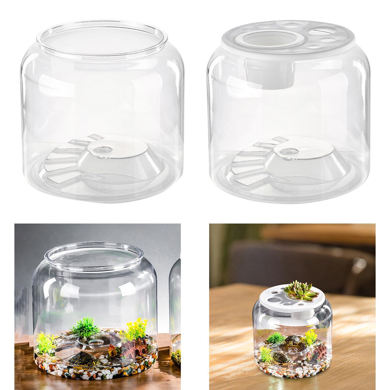 Tableau Terrarium pour Reptile - Draw Fish Aquarium avis et prix