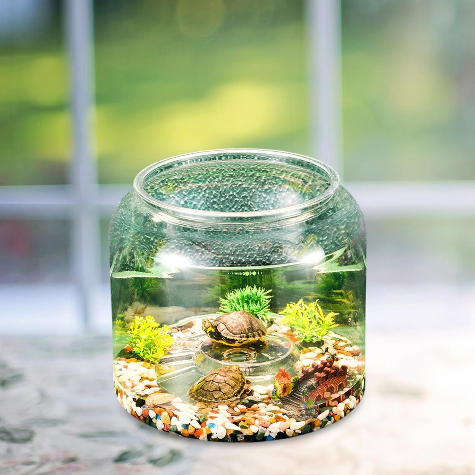 Tableau Terrarium pour Reptile - Draw Fish Aquarium avis et prix