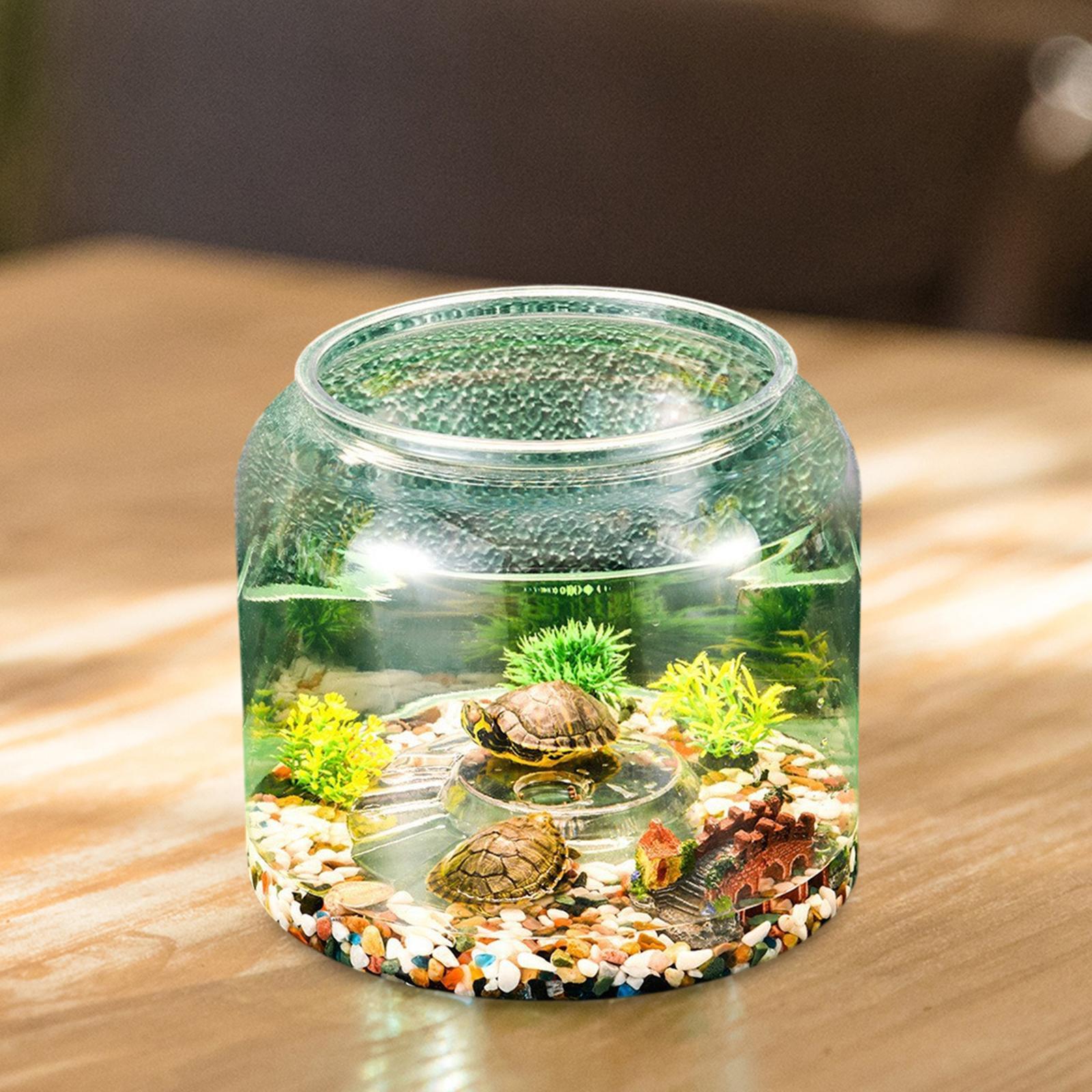 Tableau Terrarium pour Reptile - Draw Fish Aquarium avis et prix