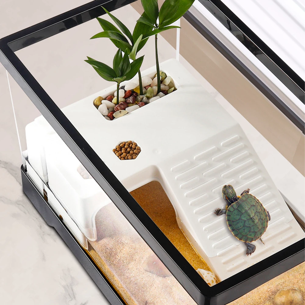 Grand aquarium Transparent pou - Box Fish In Aquarium avis et prix
