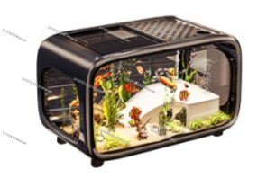 Aquarium écologique transparen - Live Fish Aquarium avis et prix