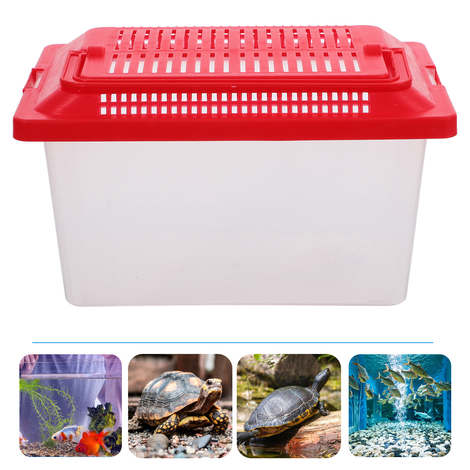 Support pour tortues à surface - Box Fish In Aquarium avis et prix