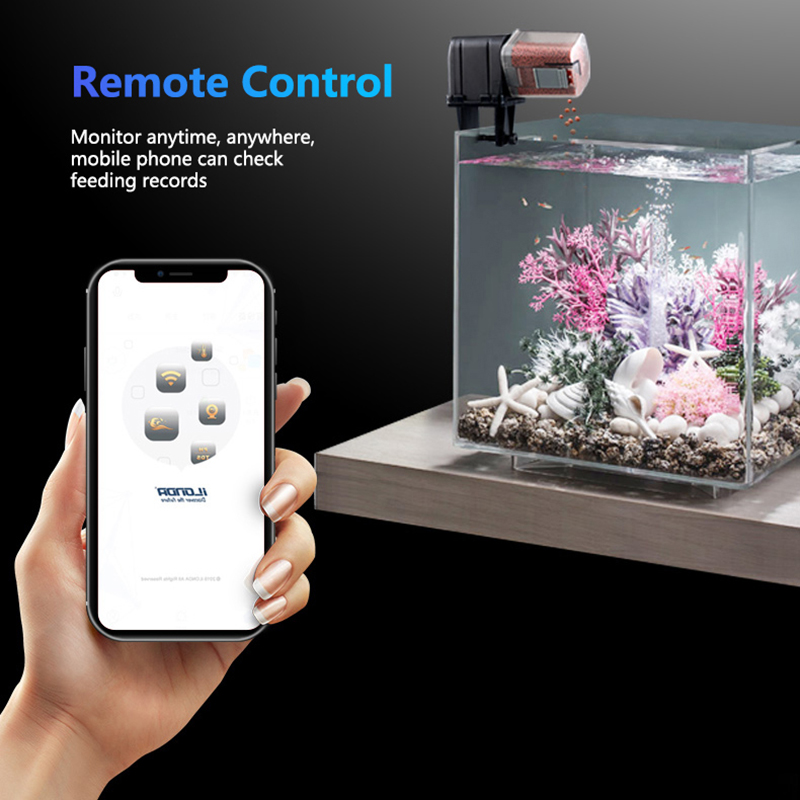 Mangeoire à poisson intelligen - Aquarium Fish Holiday Food avis et prix