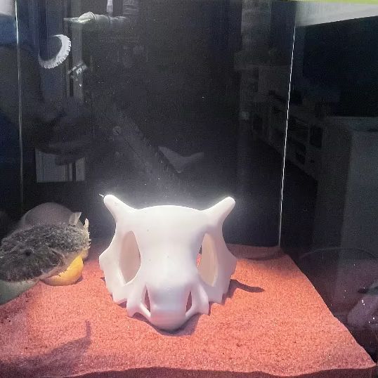 Pêche imprimée en 3D crevettes - Aquarium Fish Cartoon avis et prix