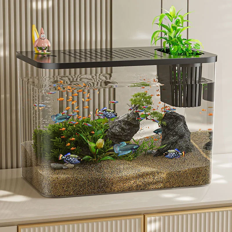 PET + ABS Aquarium nouveau Tra - Aquarium Goldfish avis et prix