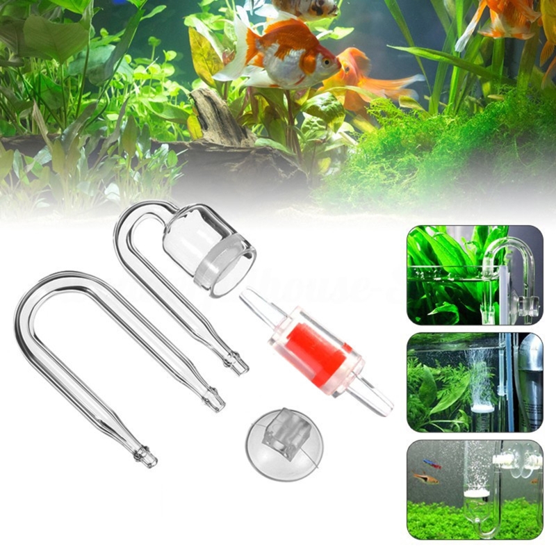 Diffuseur de CO2 pour aquarium - Live Fish Aquarium avis et prix