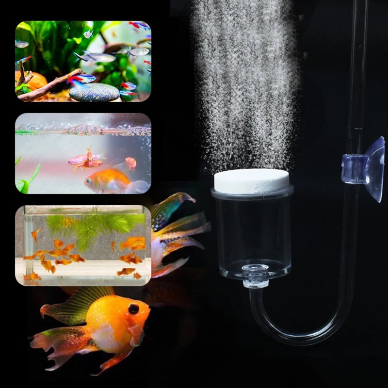 Diffuseur de CO2 pour aquarium - Live Fish Aquarium avis et prix