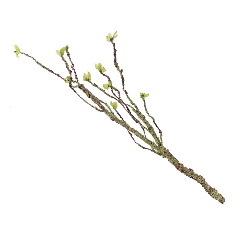 Vignes décor Branches d'escala - Aquarium Fish Types avis et prix