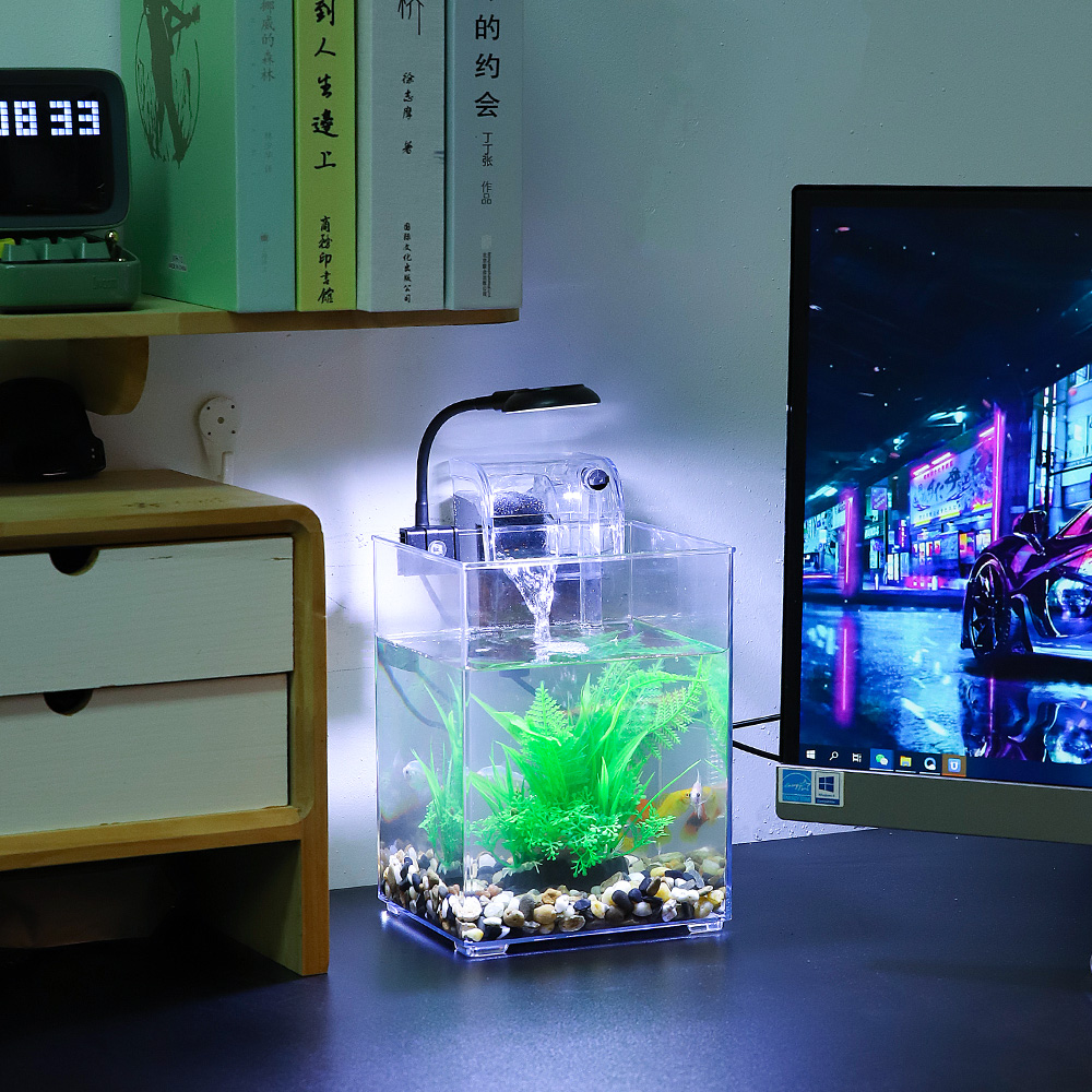 Ensemble précieux de poisson d - Aquarium Goldfish avis et prix
